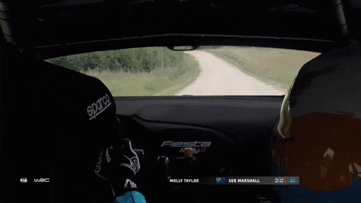 The racing scene from the drivers perspective