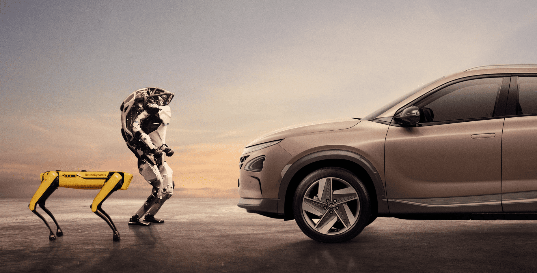 Nexo facing the robot