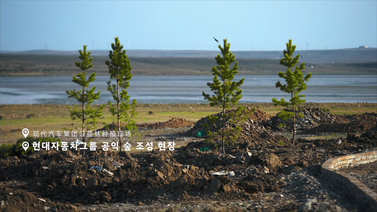 The public forest that Hyundai Motor Group is creating in China