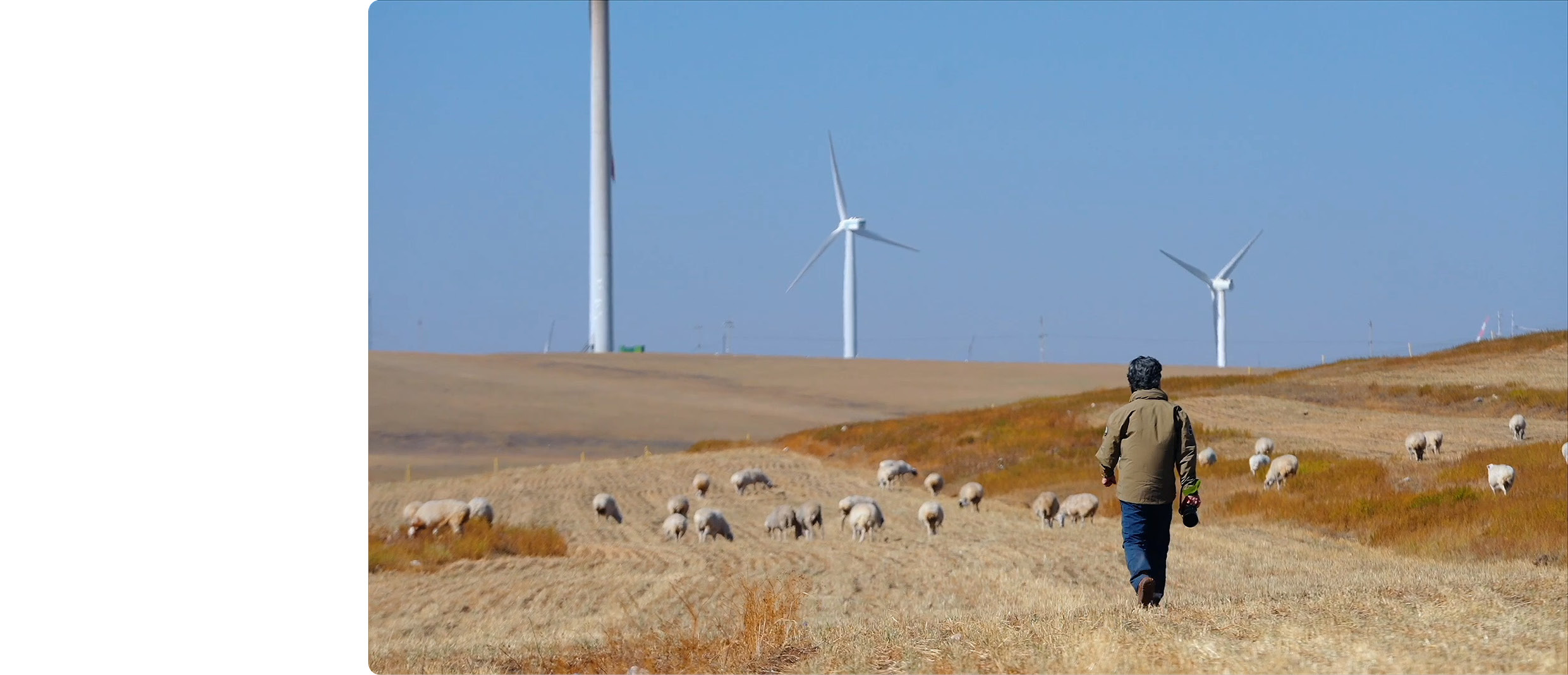 A man is walking in a large field