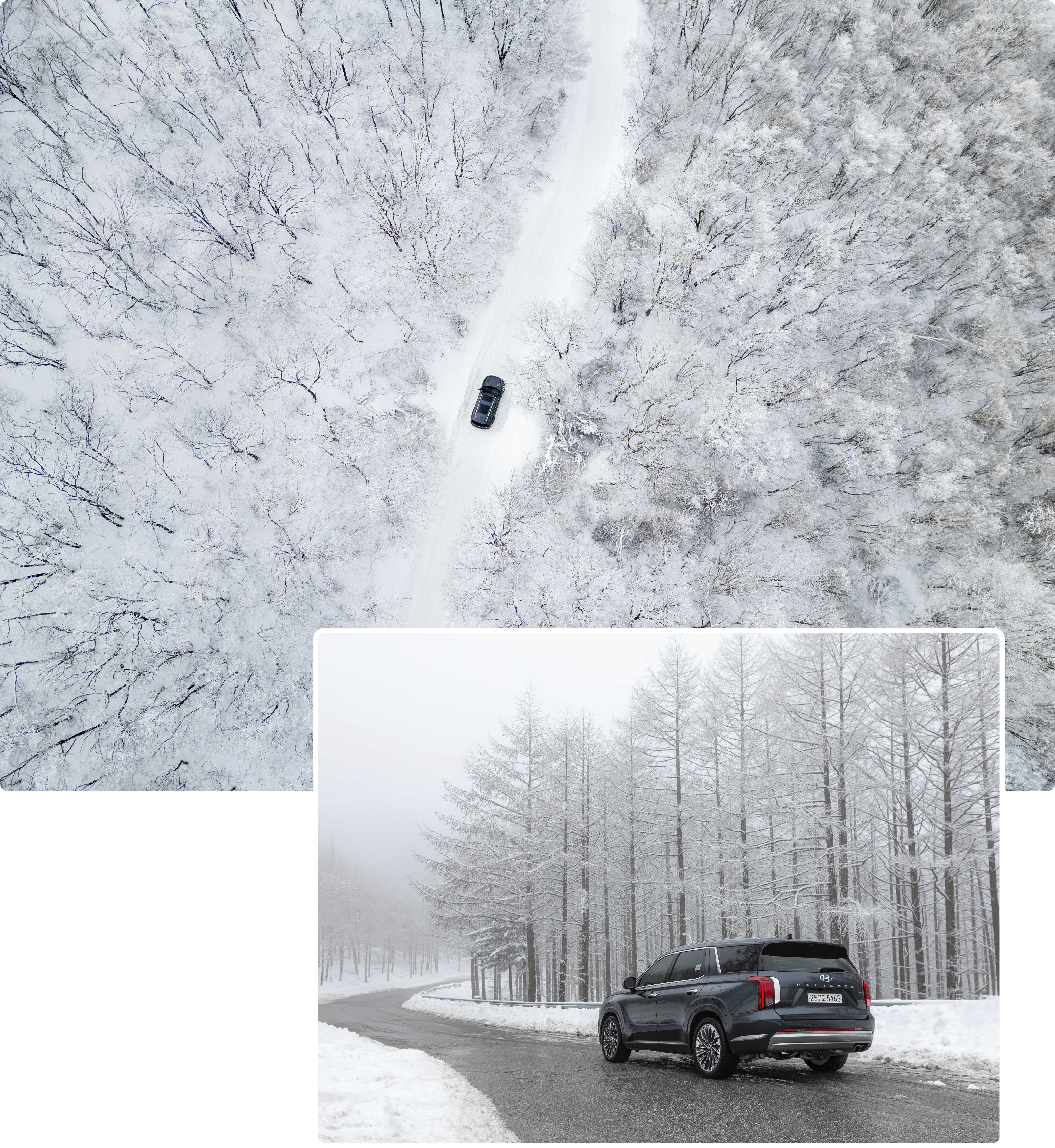 Palisade’s interior and snowy mountain scenery