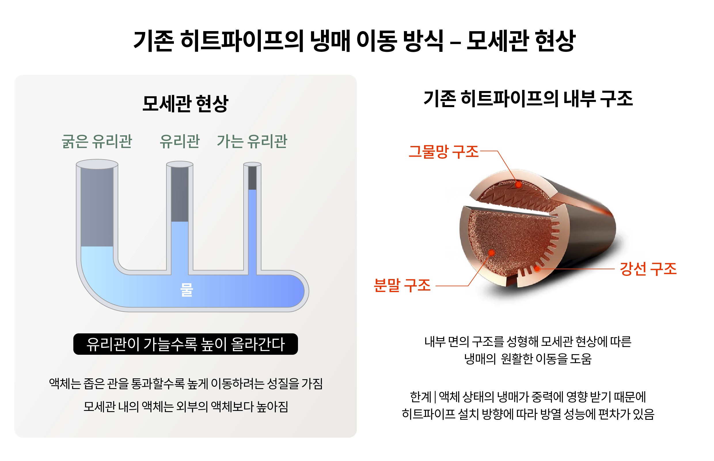 모세관 현상의 개념에 대해 설명하는 인포그래픽