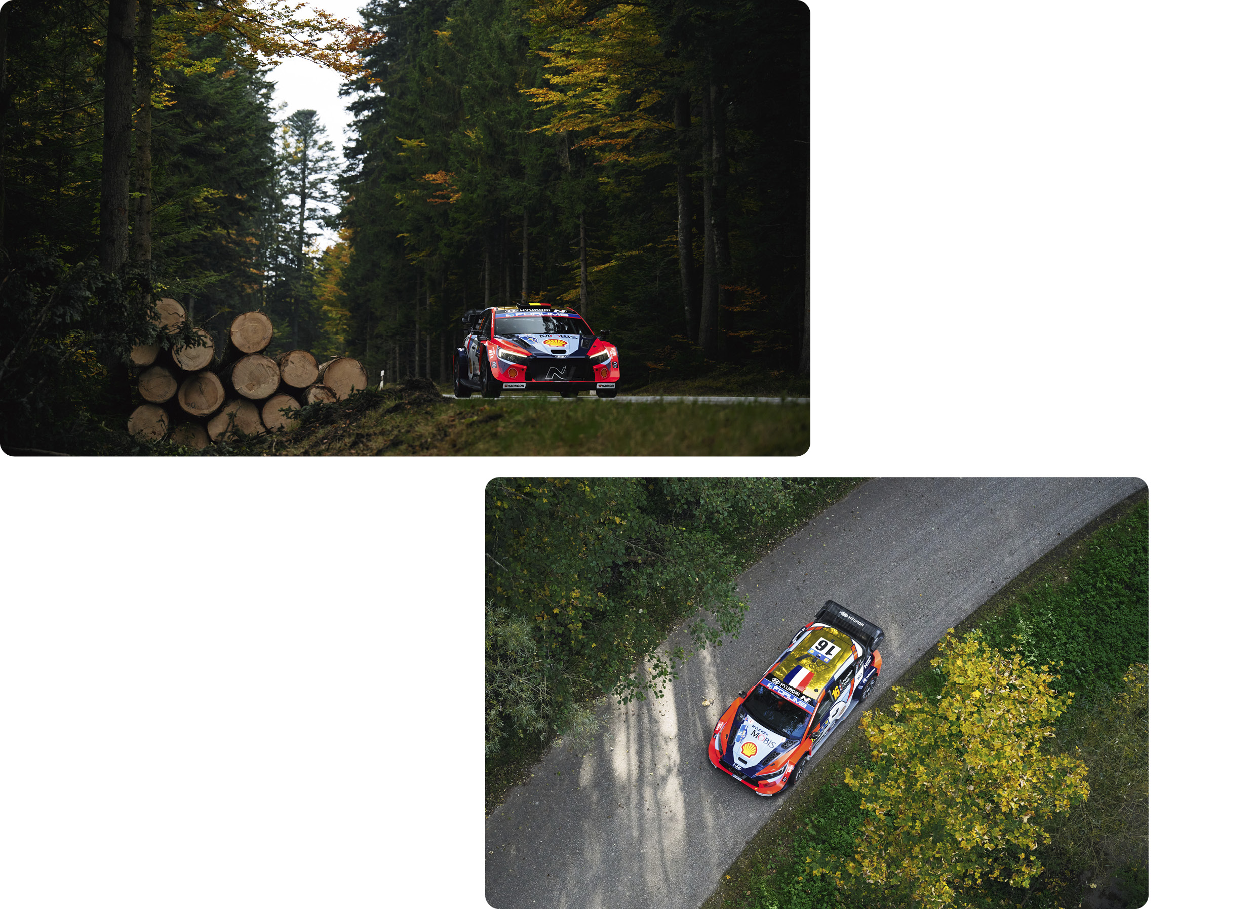 WRC Round 12