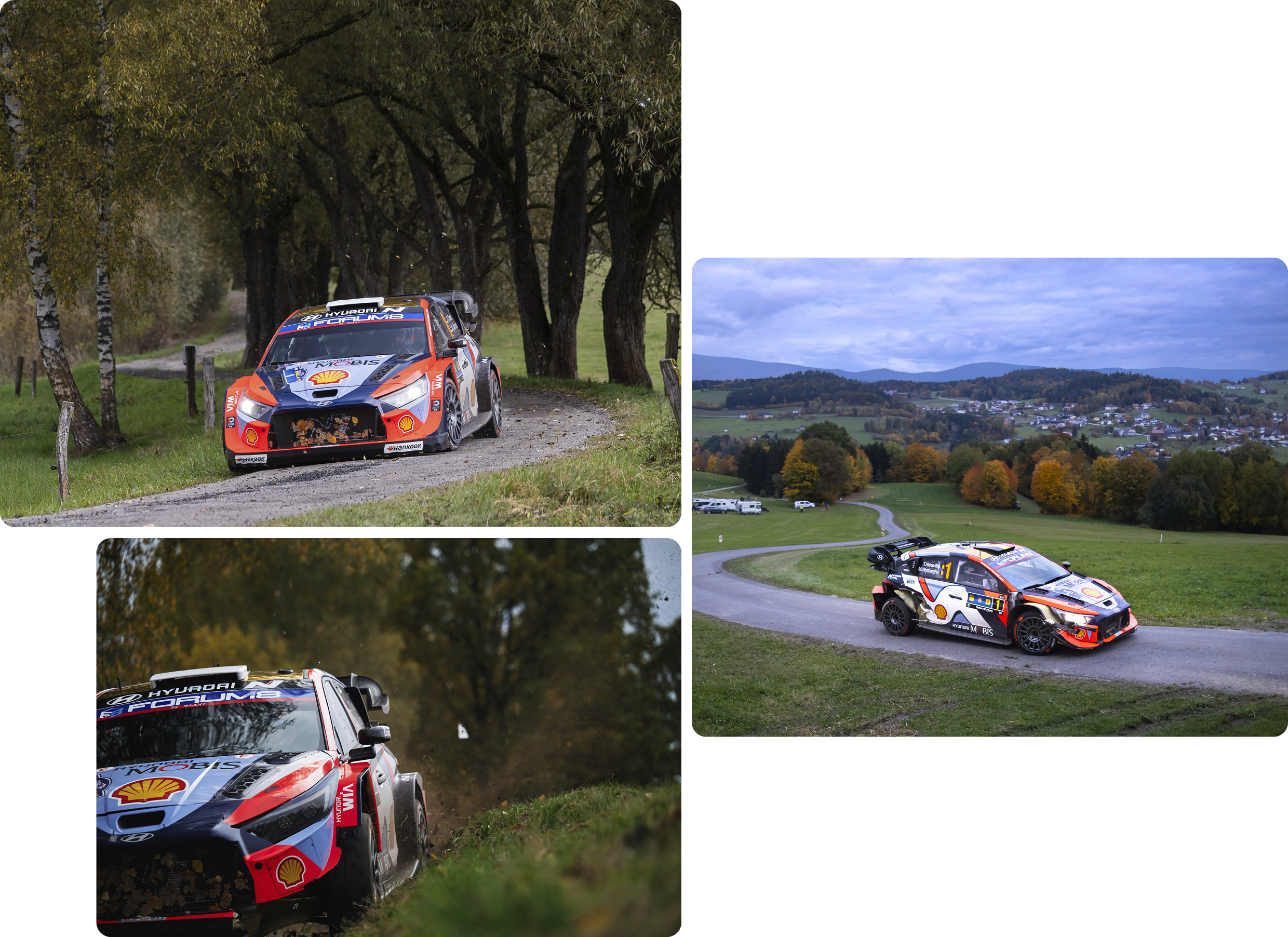 WRC Round 12