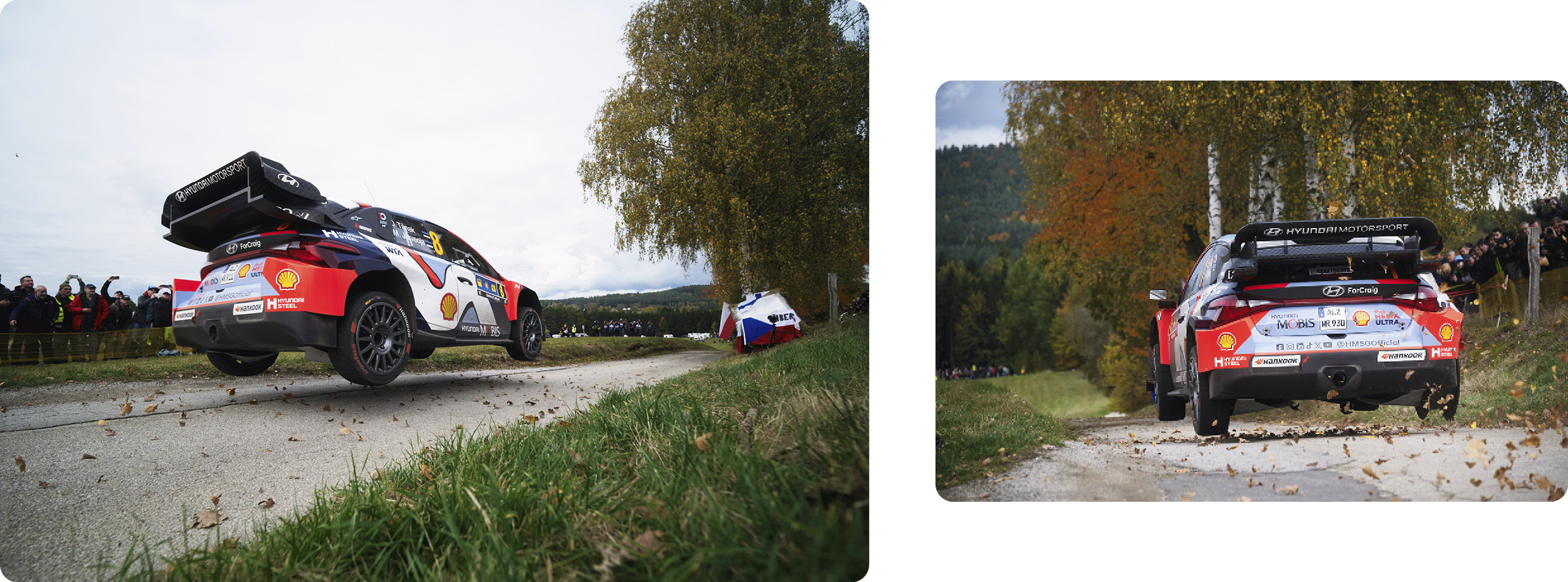 WRC Round 12
