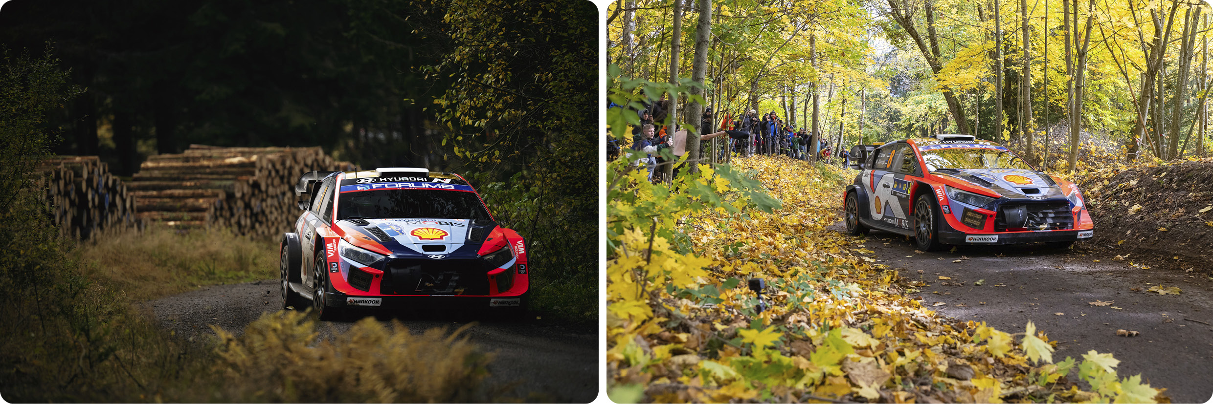 WRC Round 12
