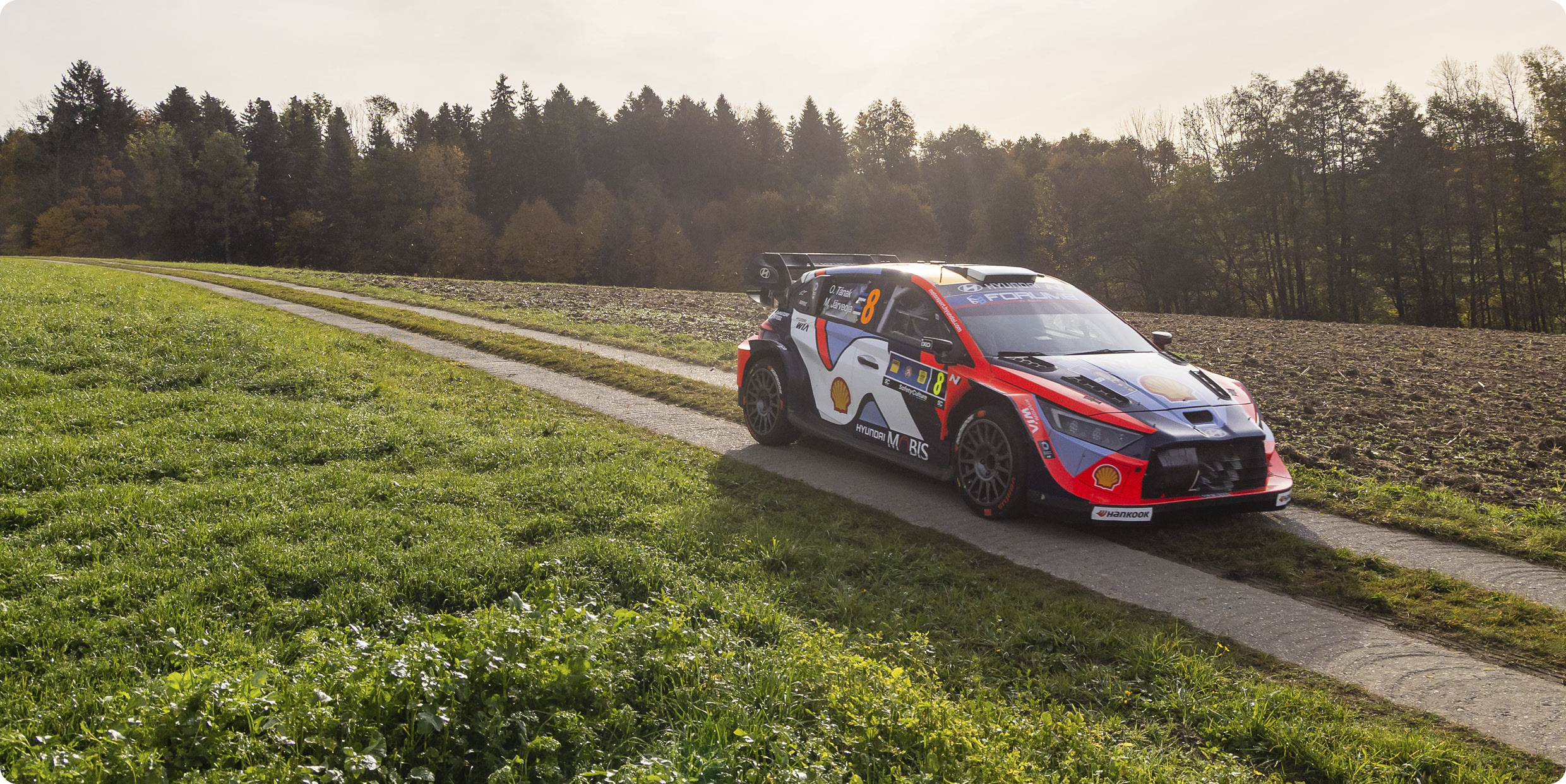 WRC Round 12