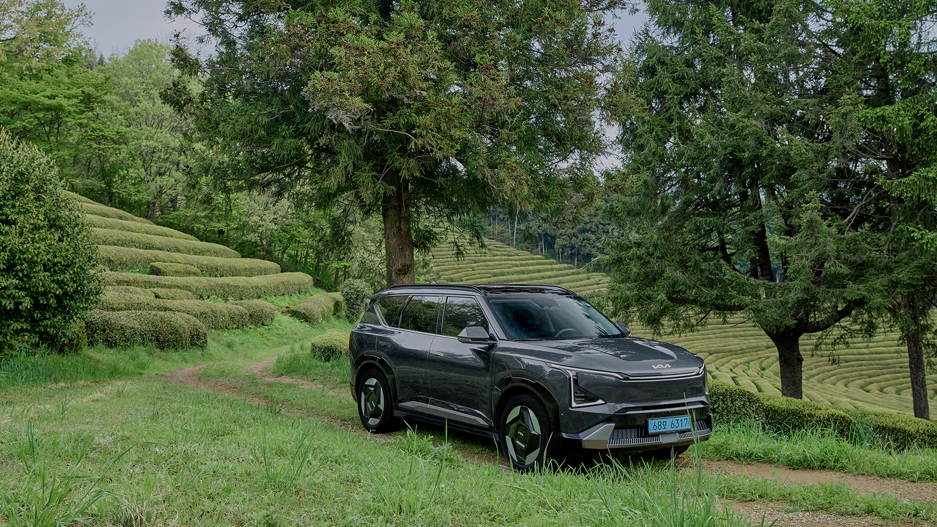 Kia EV5 parked beside a forest path