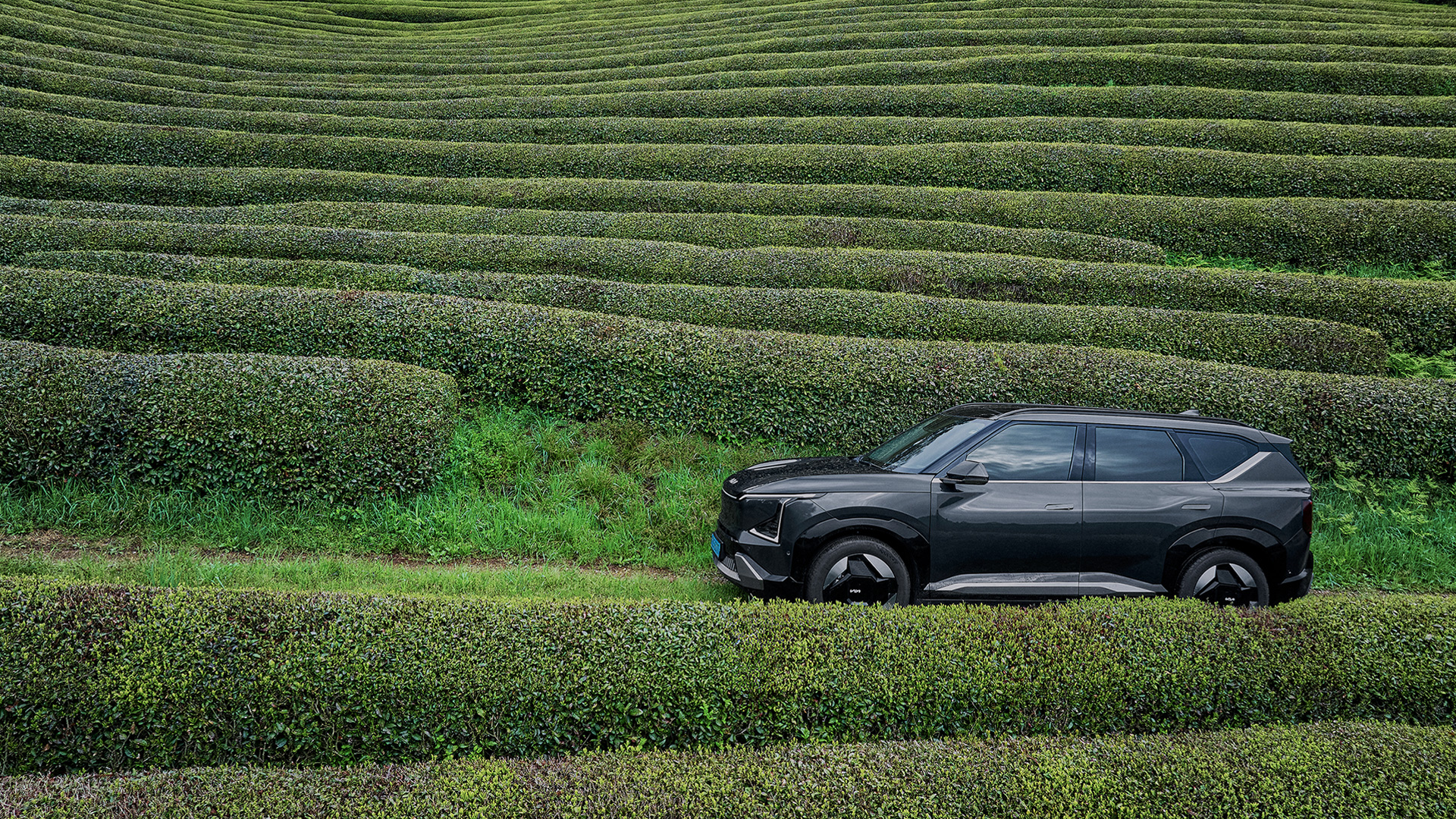 Kia EV5 standing against the backdrop of Boseong tea fields